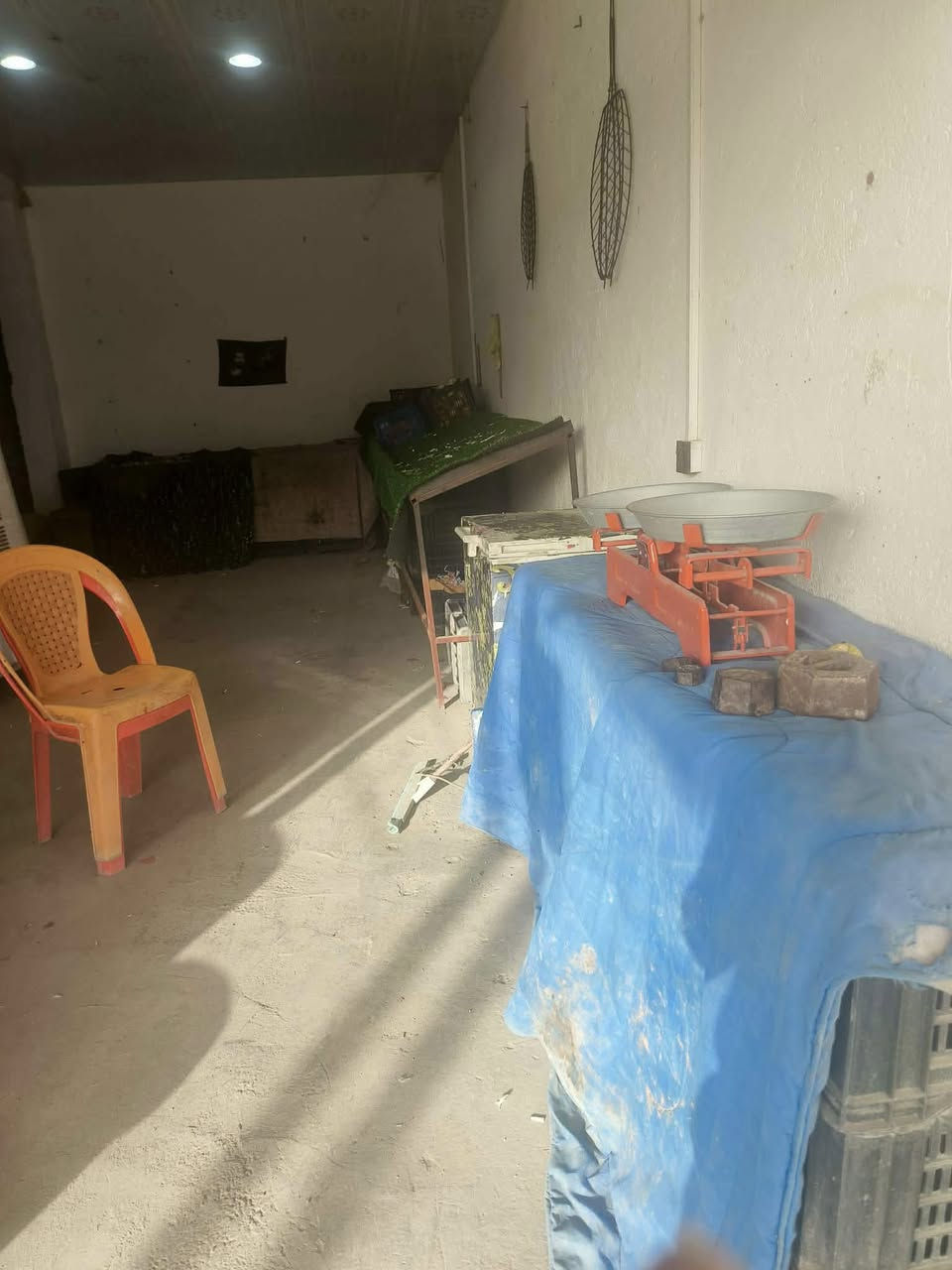 محل مخضر ودجاج للبيع ميزان دجاج وميزان مخظر ميوزه مال مخظر حوض سمج طبكات شوايه اقفاص دجاج قفص العرض دجاج طباخ  هلاسه كنوفيره وبعد بيه غراض السعر مليون و300 وبي مجالل لمكان شارع المعمل قرب صورة الوائلي 
***********
