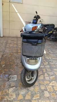 منغولي • نضيفه • مامفتوح