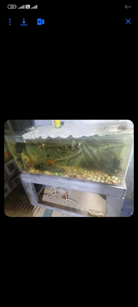 غراض كلمن سعر


**إذا كنت صاحب هذا الإعلان وتريد حذفه لأي سبب، رجاءا أرسل رسالة إلى الدعم الفني**