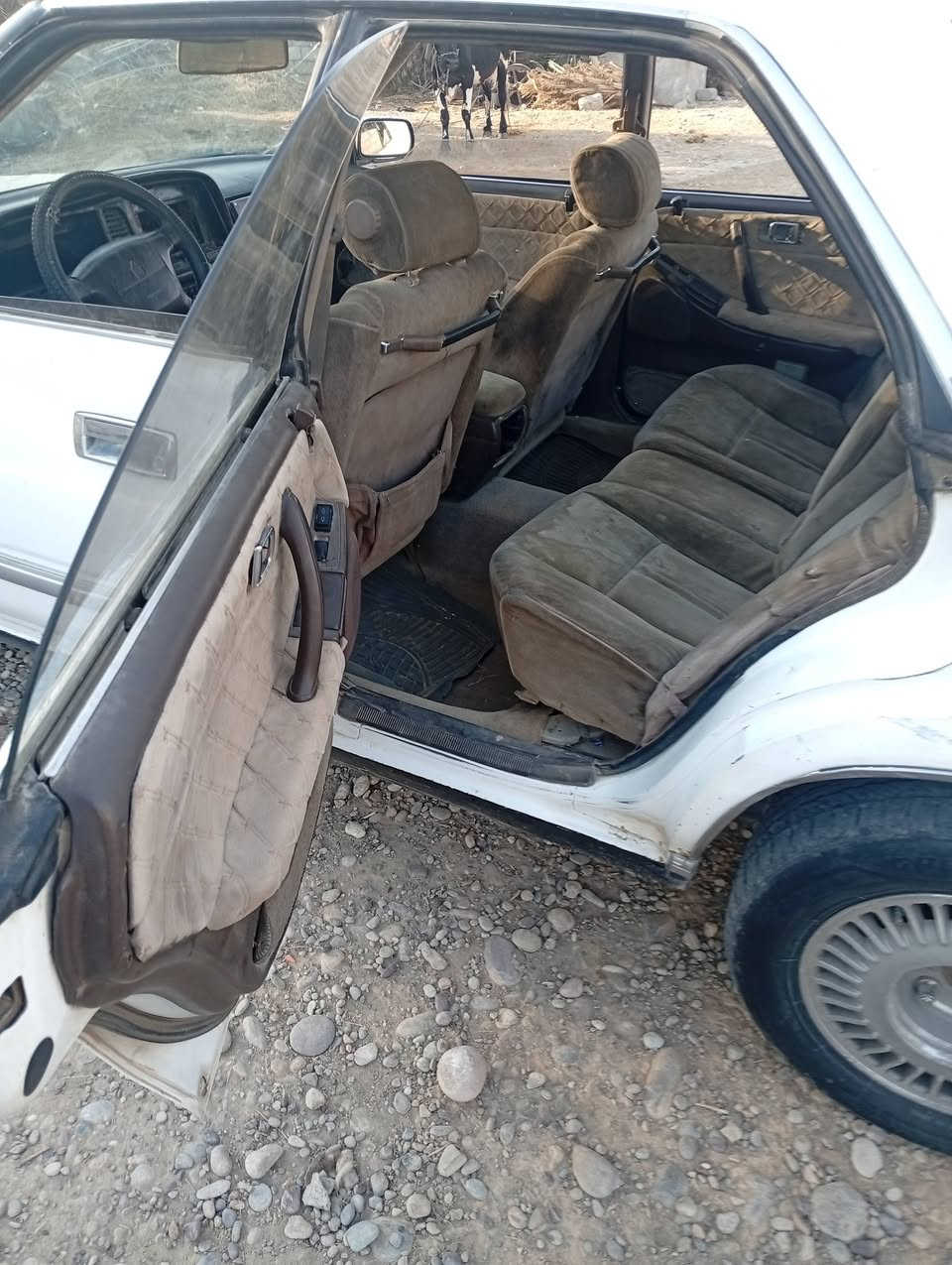 السلام عليكم
للبيع هورتوب فحص صلاح الدين  مراوس بطه ما مسجل 
***********
