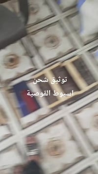للرجال • اسيوط • اكسسوارات