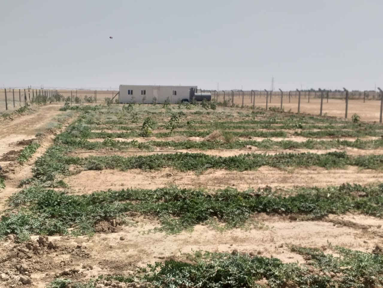 السلام عليكم مزرعه دونم عل حولي مال العلم صلاح الدين للبيع مسيجه بي ارسي بيها خزان ماء كبير وكرفان غرفه ونص جاهزه من كلشي الشراي يستعجل قبل لاتفوتك الفرصه ***********
