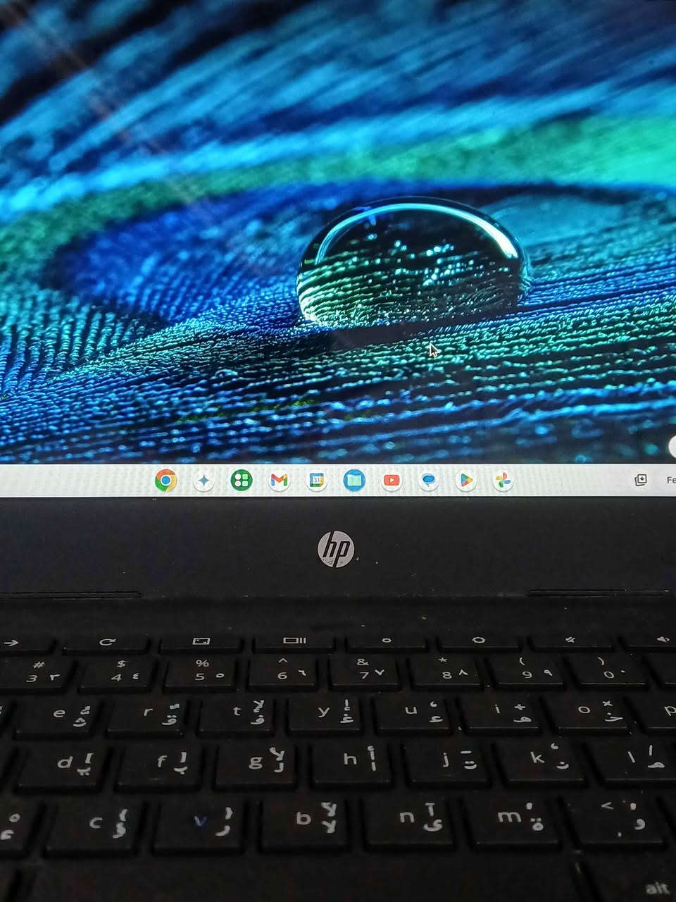لابتوب hp حجم 12 مستعمل بحالة جيدة نضام كروم بوك لابتوب يفيد للتصفح ومشاهدة الافلام والمسلسلات والدراسة ومشاهدة المحاضرات وجميع برامج التواصل الاجتماعي السعر 75 وبي مجال مع شاحن 65 واط بغداد, العراق


**إذا كنت صاحب هذا الإعلان وتريد حذفه لأي سبب، رجاءا أرسل رسالة إلى الدعم الفني**