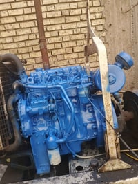 مولده بيركز للبيع 4 بستم 50kp للاستفسار 07811114157