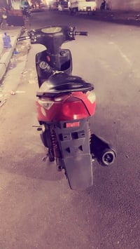 ثعلب • نظيفه • نقصها ابريك