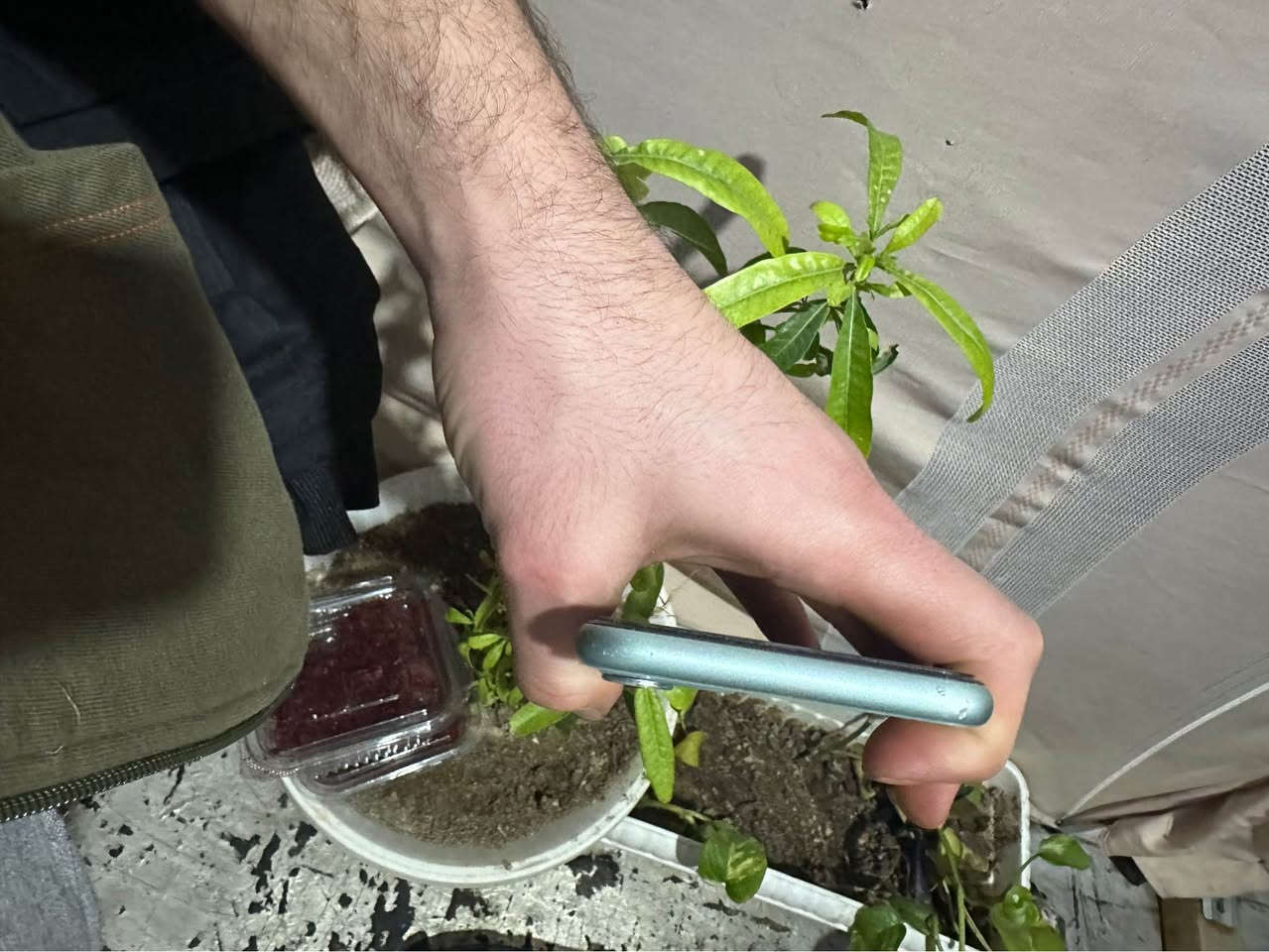 ئایفۆن ١١دوکامیرە کەپسە هیچی نەگۆرایە مسجی ئەپلی هەیە پاتری٧١ زاکیرەی٦٤گێگا  هەندەک وردە شوختی ئیتاری هەیە شوێن هەولێر نرخی ٢٣٠هەزار و هەندەک محامەلە تکایە موشتەری نی نەسەری خۆت بێشینە نەسەر من *********** أربيل, العراق
