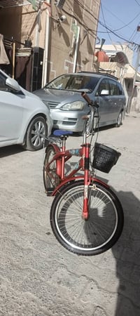 بسكليت • زنجيل • يحتاج ضبط