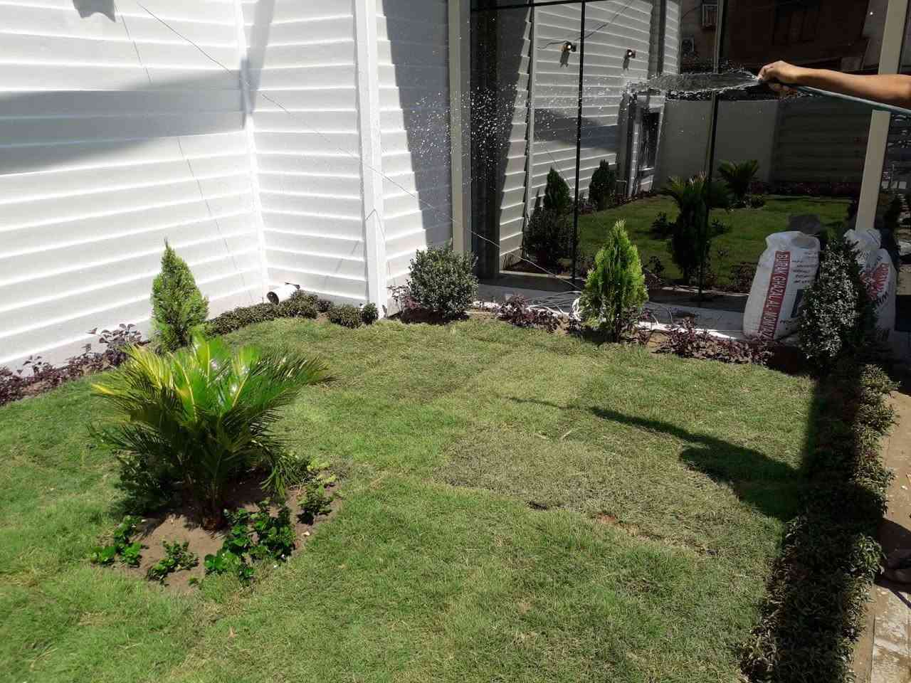 هندسة حدائق وعمل ديكورات ونصب منظومات التقطير ومرشات + متوفر كافة انواع فسائل النخيل والاشجار الدائمية والموسمية وانواع الثيل ..
للتواصل على الرقم *********** واتساب

للتواصل على الرقم *********** واتساب
