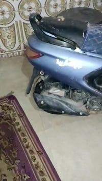 فراشه فحل • كايمه • تجفيف