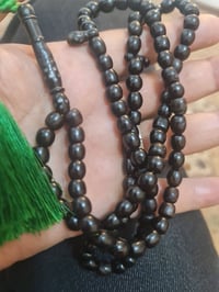 حجازي • قديم • متوسط الحجم