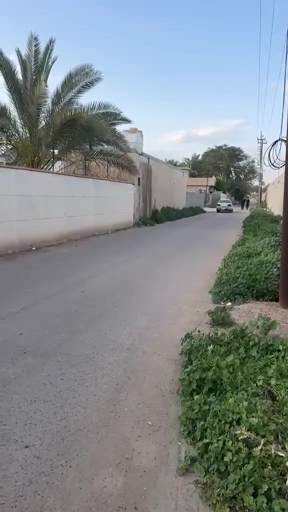 الاستفسار ***********
