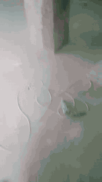 قادر جبسون بورد وسحبان ***********
