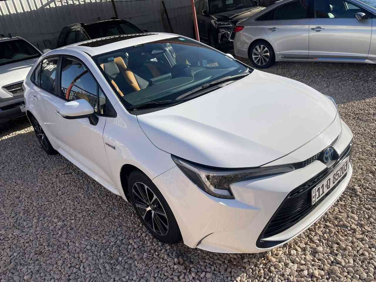 كورلا 24 مكفولة رقم بغداد السعر 145 بيها مجال مكان كربلاء /***********
