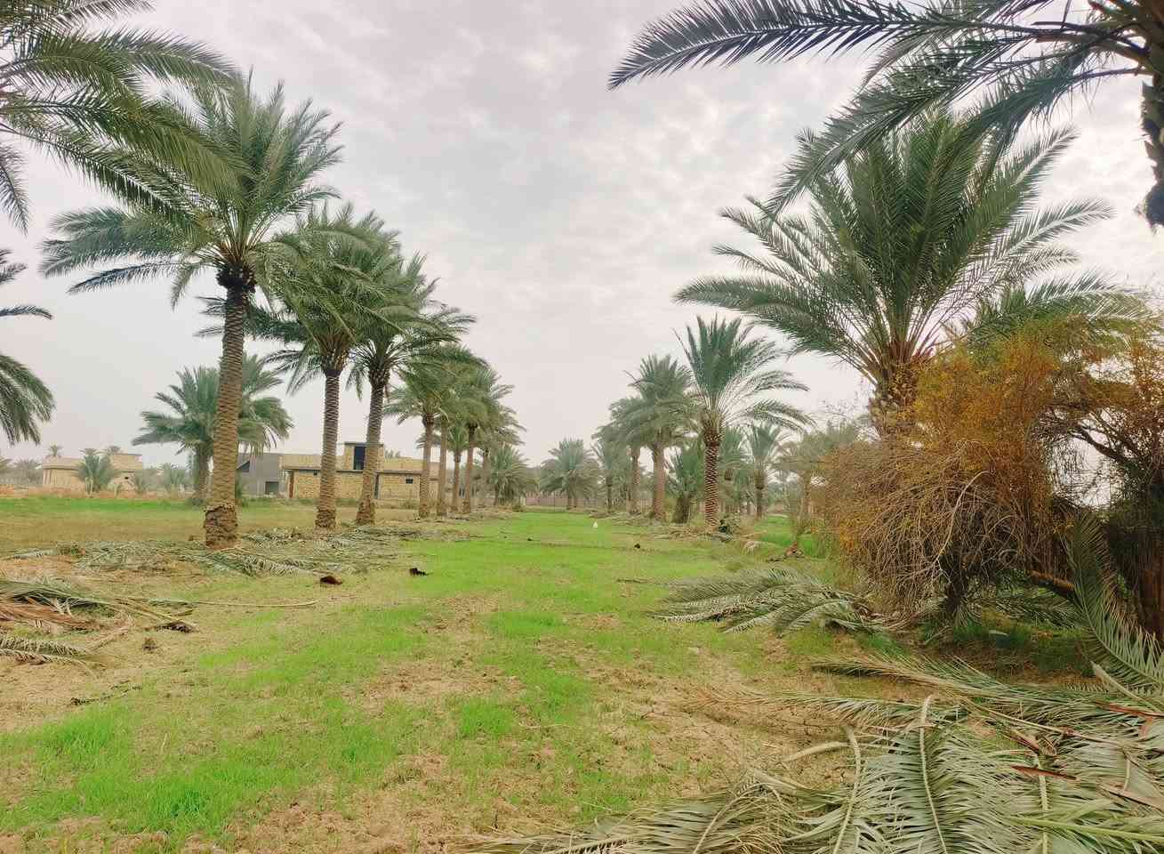 السلام عليكم ارض طابو زراعي سند/25/المساحه. دونم
الموقع خلف جامعه بابل / 
للاستفسار 
محمد رشيد ‏‪***********‬‏
منتظر الصليخي ***********
                        ***********
