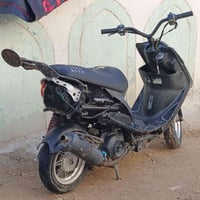 ماكس • نضيفه • كربلاء بوبيات