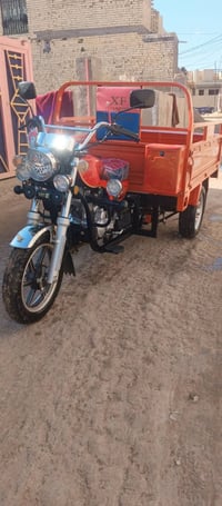 ستوته • موديل 23 • أوراق أصلية