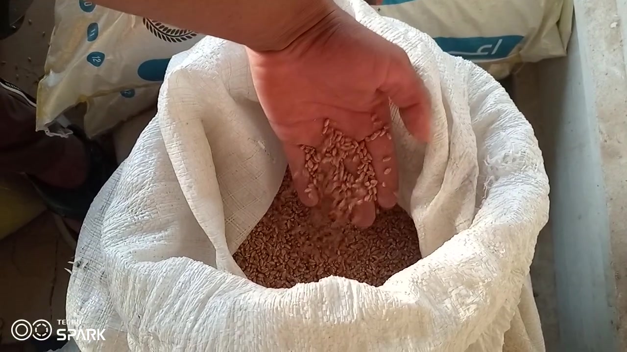 على بركه الله تعالى تم افتتاح
علوه واعلاف البركه
متوفر لدينا نخاله عراقيه درجه اولى
متوفر ايضا كافه اعلاف الطيور من 
دخن 
بروتين خشن وناعم
مخبوطه 
شعير
وحنطه درجه اولى 
العنوان شارع ساطي مجاور معهد الامراء الاهلي 
باداره مصطفى التميمي 
رقم الهاتف ***********
***********
