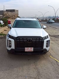 بليسايد لمتد • ٢٠٢٤ • ٢٢٠٠٠ ميل