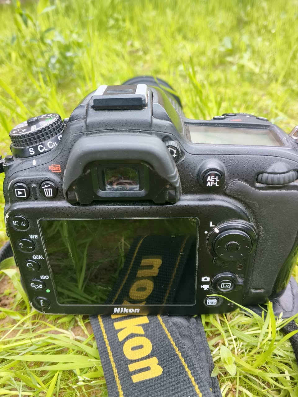 للبيع كاميرات نيكون ٧١٠٠ ونضافه ٩٠ و نيكون ٣٢٠٠ نضافه ٩٥ و نيكون ٣١٠٠ نضافه ١٠٠ كلهم كامل ملحقات و عدسات أصلية باقي صورة موجود سعر ٧١٠٠ ب ٦٠٠ بي مجال و سعر ٣٢٠٠ ب ٢٥٠ بي مجال سعر ٣١٠٠ ب ٢٢٥ بي مجال فقط بيع كاميرات مالي جوه يدي مكاني موصل أيسر شراي تعال خاص 🤝 توصيل ماعندي اسف 🙏


**إذا كنت صاحب هذا الإعلان وتريد حذفه لأي سبب، رجاءا أرسل رسالة إلى الدعم الفني**