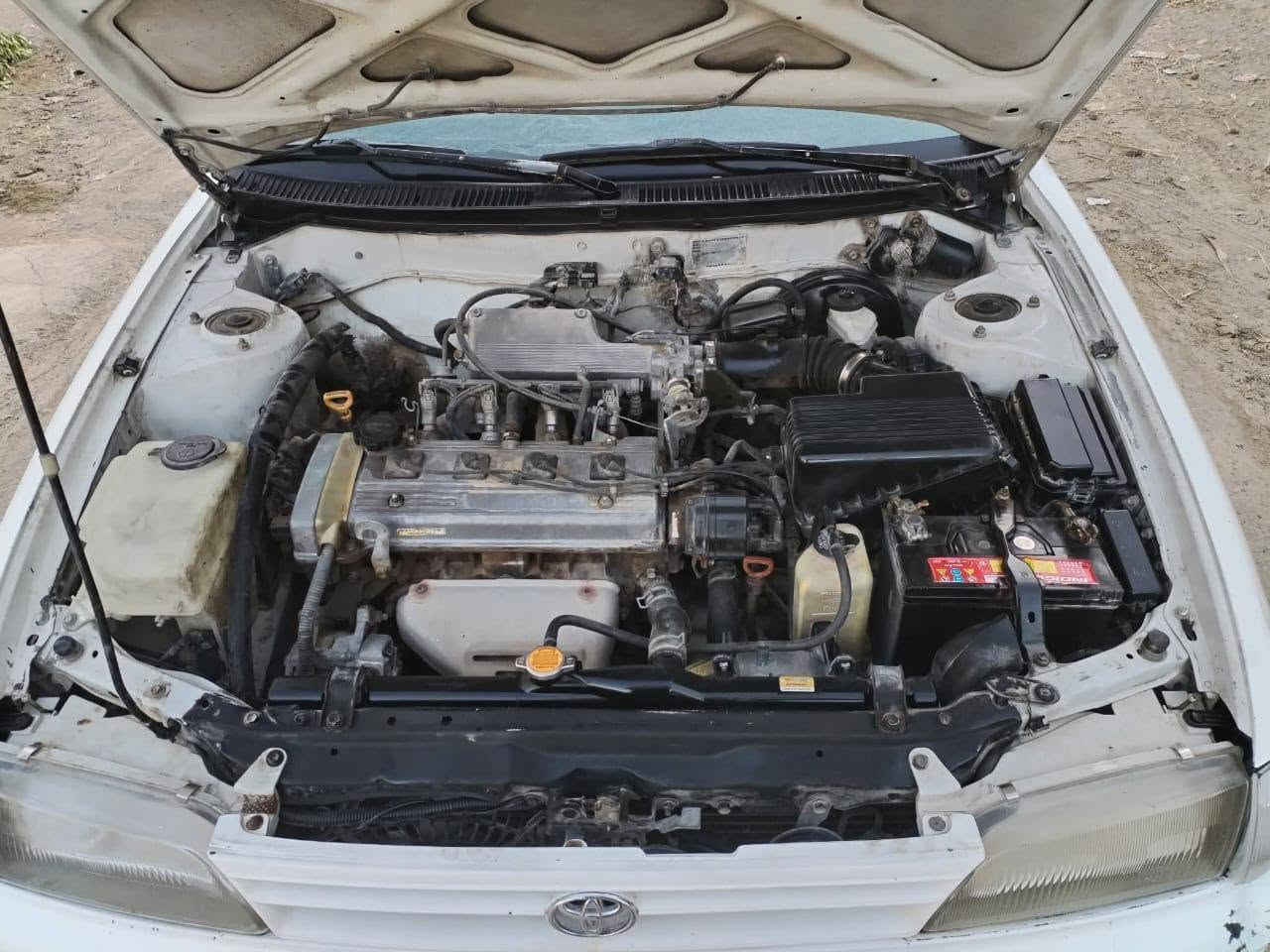 سيارة كورلا موديل 93 رقم بغداد مشروع وطني مكان السياره ديالى المقداديه السعر 56 وبيها مجال للطيبين سياره حلوه وصبغ مابيها مكلف بالنشر
***********
***********
