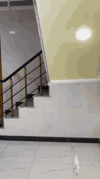 بيت طابو صرف بناء سنة 2019
مساحة 125 متر بناء و200متر تشجير اصولي 
طابقين يحتوي الطابق الاول على غرفتين ومطبخ وصالة كبيرة وحمام والطابق الثاني على ثلاث غرف وصالة كبيرة وحمام وبيتونة كبيرة وحمامات خارجية 
في الزعفرانية شارع منتزه كاردن ستي قرب حسينية ابي طالب السعر 330مليون  وبي مجال التواصل على الرقم ***********
