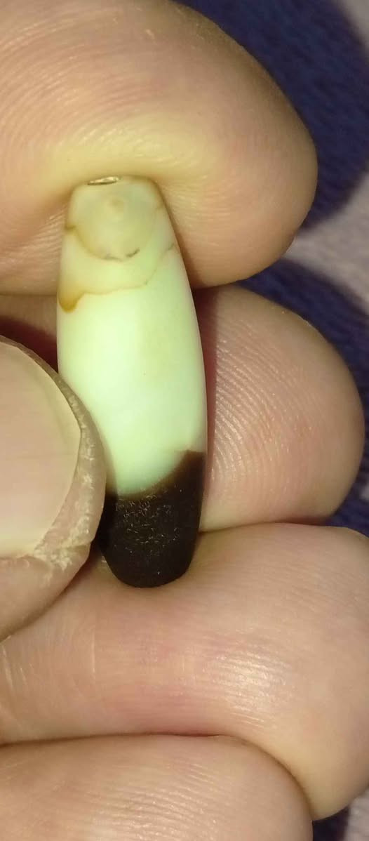 ‎جزع حبشي قديم‎ كربلاء, العراق


**إذا كنت صاحب هذا الإعلان وتريد حذفه لأي سبب، رجاءا أرسل رسالة إلى الدعم الفني**