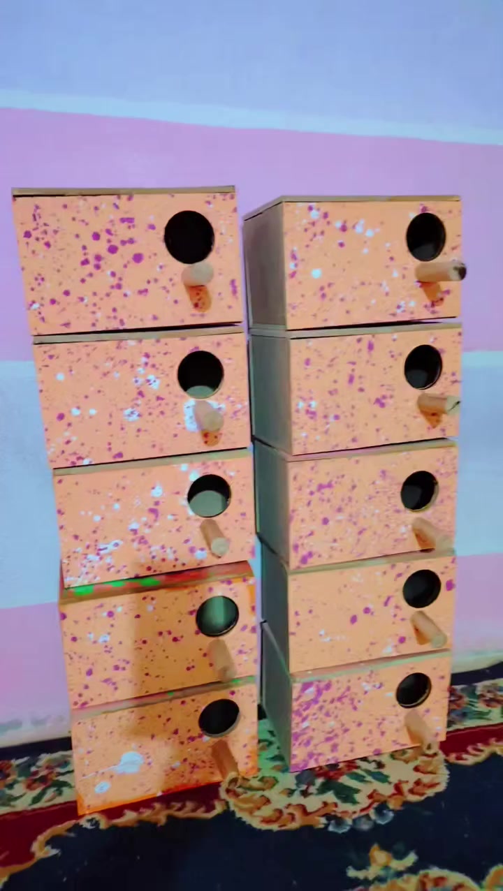 بيوت🏡طيور الحب🦜او جاوه او فنجس🦚سعر البيت🏡الفين ونص💸مكاني واسط قضاءالحي وره مستشئ فيروز🏥خاص او تصال ***********
