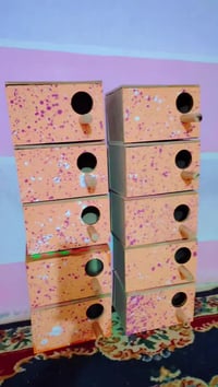 بيوت طيور • طيور الحب • واسط قضاء الحي