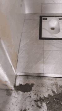 متفرغ • شغل رقم واحد