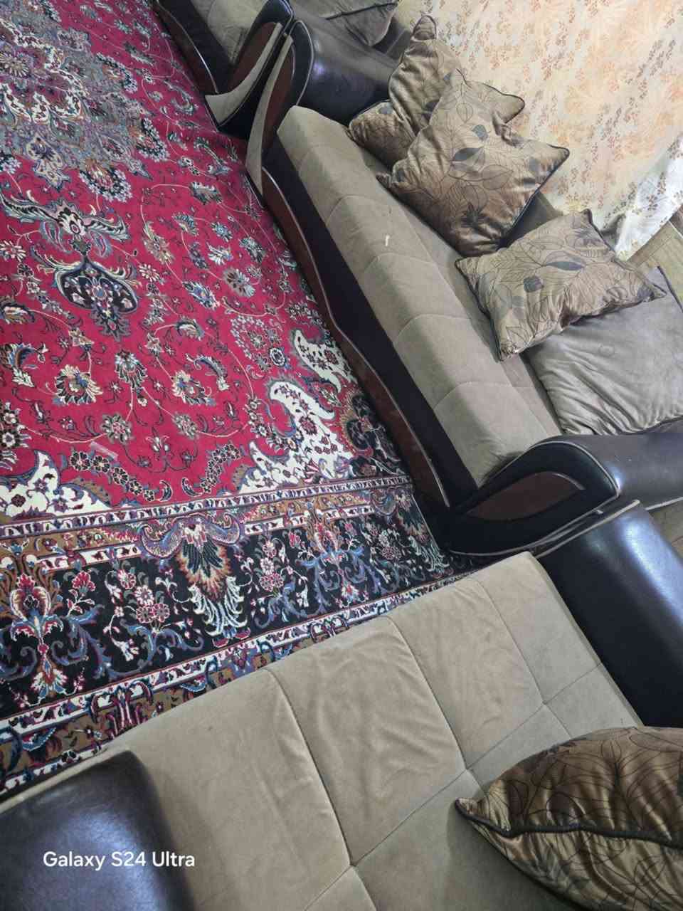 تخم 10نفرات. مُـ (⊙︿⊙) ـآآبـِي اضرار جبيره بس شخوط ويرادله تنضيف 250 وبي مجال


**إذا كنت صاحب هذا الإعلان وتريد حذفه لأي سبب، رجاءا أرسل رسالة إلى الدعم الفني**