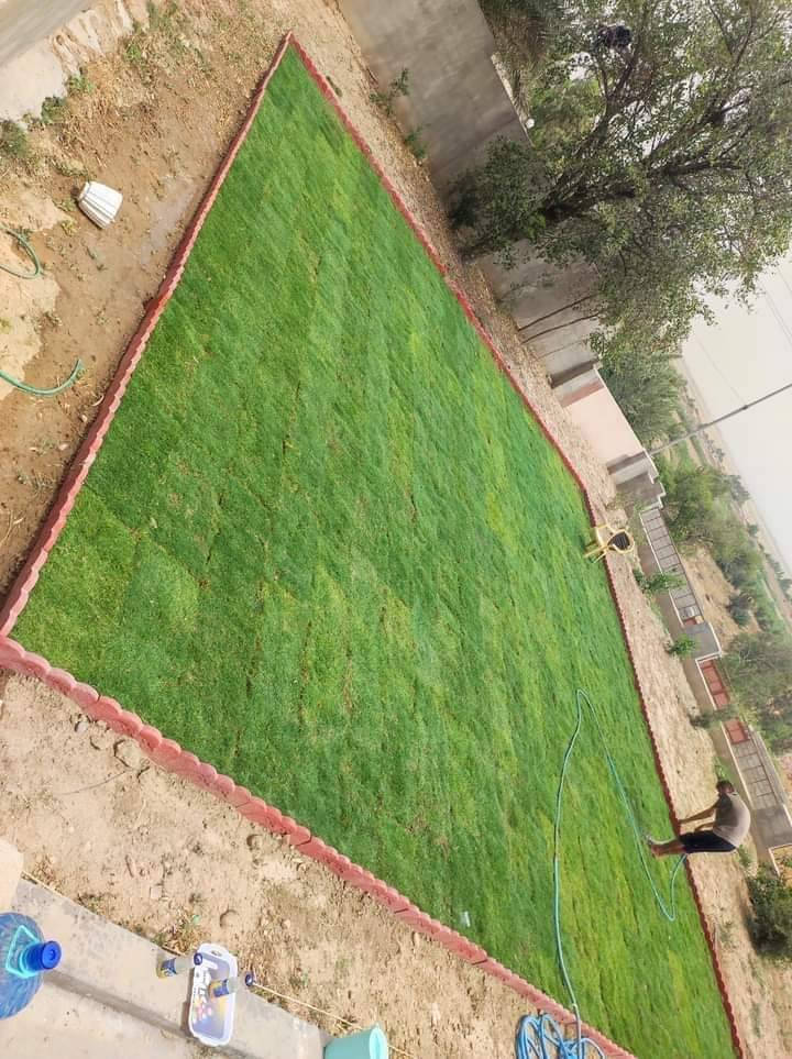 🍀متوفر كافة انواع الثيل🍀 
الثيل امريكي والهندي والايطالي والفرنسي
كادر متخصص :
لتجهيز... مشاتل🌴
والدوائر حكوميه🏦
منازل🏡 منتزهات🏄
موجود خدمة توصيل 🚕🚕
لكل محافظات العراق 
للطلب التواصل مع الصفحة او الاتصال على :؀واتساب   
***********
***********
