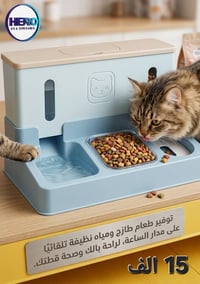 رخصة الادارة
