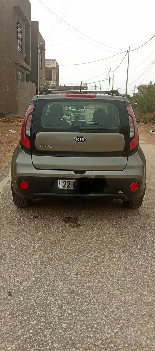 كيا صول موديل 17رقم اربيل دولي هزة وسنوية جديدة وارد امريكي حادث جاملغ امامي وبيها مكانات صبغ اثرشخوط ابيع حزام  بدون دواخل مامتعوبة مال بيت كير مكينة حدادية تبريد كهربائيات كفالة مكينة 1600كفالة تخم تايرجديد غرفة جديدة كشنات جلد ارضيةجلد 
تحكم ستيرن حهتين كامرة 
ABS
ايكو تقليل صرف الوقود
مكاني بابل السعر 92وبيه مجال أي استفسار اتصل على 0773393651 المحمودية, بابل


**إذا كنت صاحب هذا الإعلان وتريد حذفه لأي سبب، رجاءا أرسل رسالة إلى الدعم الفني**