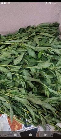 ملوخية • شغل البيت • نظافة مضمونة