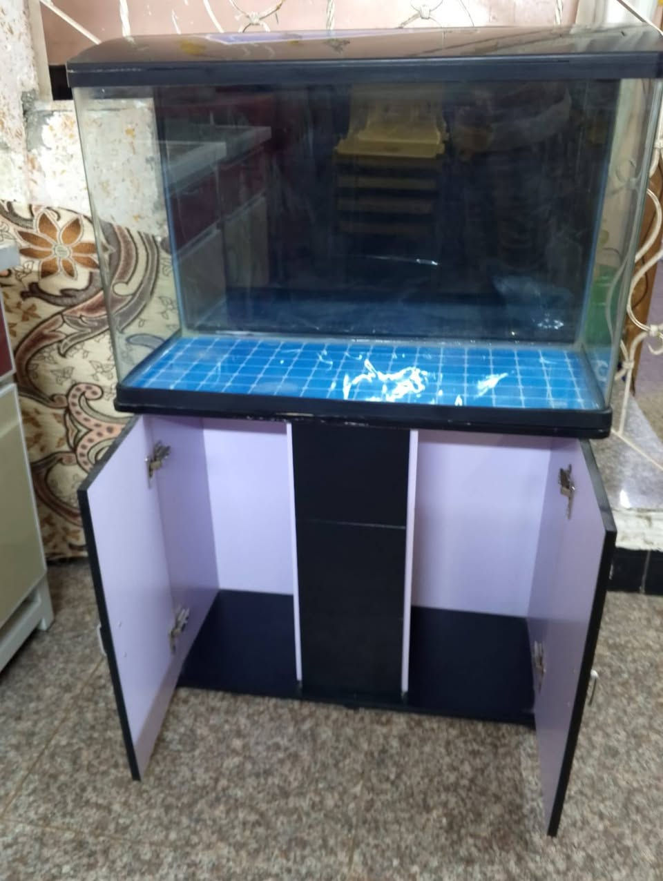 حوض للبيع نظيف جدا جداً لسعر مع التوصيل 175بي مجال


**إذا كنت صاحب هذا الإعلان وتريد حذفه لأي سبب، رجاءا أرسل رسالة إلى الدعم الفني**