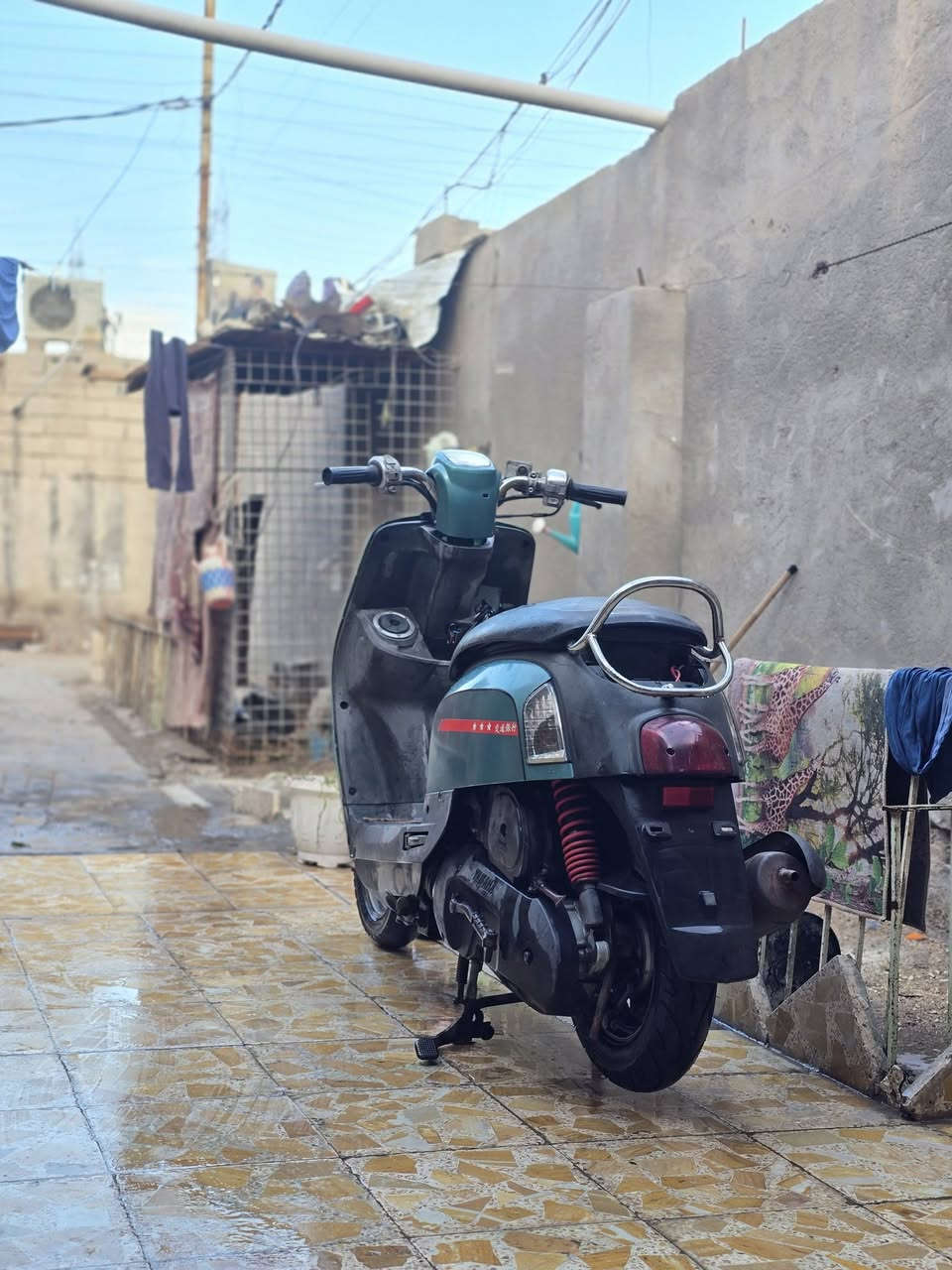 السلام وعليكم
ماكس بوليسي مكفوله من حطت الصبانه كفر مميز كلهه مختمه طالعه 2026/3/1 صارلهه يومين كفر بلادي لامصبوغ ولاتجاري تجي وتفحص اذا مصبوغ تجاري خسارك انه مكاني بصره كرمه علي رقمي ***********
