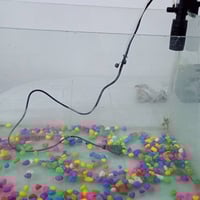 حوض سمك • فلتر • حي لانتصار