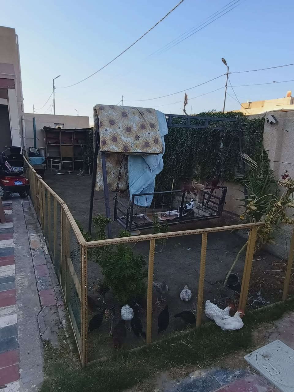 تفاصيل البيت طابو ملك صرف
بيت ركن مساحتة الكلية 350 صب كونكريت  متر مساحة البناء تقريبا 130 وباقي المساحة حديقة كبيرة جدا صايرة جانب البيت وحديقة صغيرة مقابل الاسقبال والمطبخ نظام البيت  الطابق الاول نظام شركة  منور و مطبخ واستقبال كبيرة وصالة وصحيات شرقي وغربي وحمام وغرفتين نوم بالاضافة الى صحيات كبيرة خارجية كاملة حمام وصحيات شرقي وغربي و الطابق الثاني ثلاث غرف نوم جميع الغرف نظام سويت حمام وصحيات شرقي وغربي وسطح صغير وسطح كبير
السعر 250 وبي مجال 
للاستفسار الاتصال على الرقم 
***********

