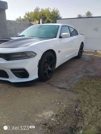 اسكات باك • ٢٠٢١ • رقم نينوى