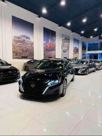 التيما SV • ٢٠٢٥ • بدون صبغ