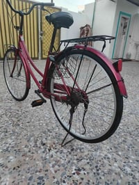 باسكل حاوية • كرزي • نضيف