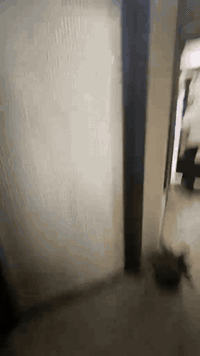 زبأننا الكرام 📍ابواب قواطع سلايد 🪟ومانع اتربه  بجميع الالوان (الابيض، ...