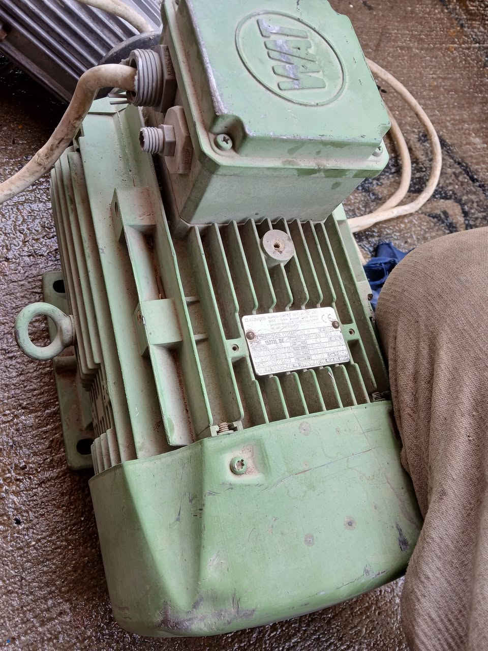 للبيع ٣ ماطورات
١ سيمنز دورة ١٥٠٠ ٣ فيز قدرة ٢.٥ كيلوات
٢ تركي دورة ١٥٠٠ ٣ فيز قدرة ٥.٥ كيلوات
ماطور هزاز تركي قدرة ١ حصان 
الماطورات نظافة ٩٠%
للاستفسار. ***********
