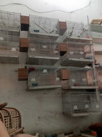 خانات العدد 12خانه تصفية محل كلهن نضيفات مستخدمات شي قليل اي استفسار ه...