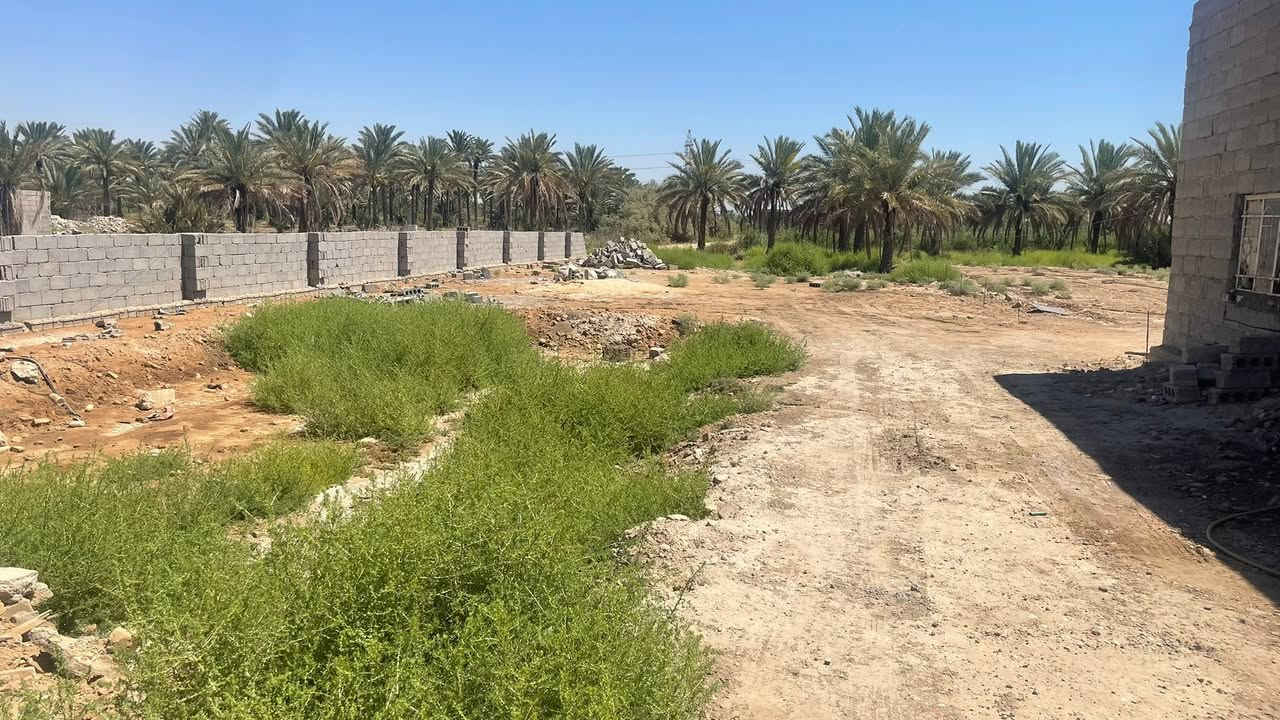 ‏للبيع  ‏‫نصف دونم    ‏عقد تحويل اسهم باسمك في كربلاء شارع ام ام البنين منطقه الزبيليه كافه الخدمات مدرسه. للمعلومات اتصال// الواجهه 16 متر /*********** /***********
