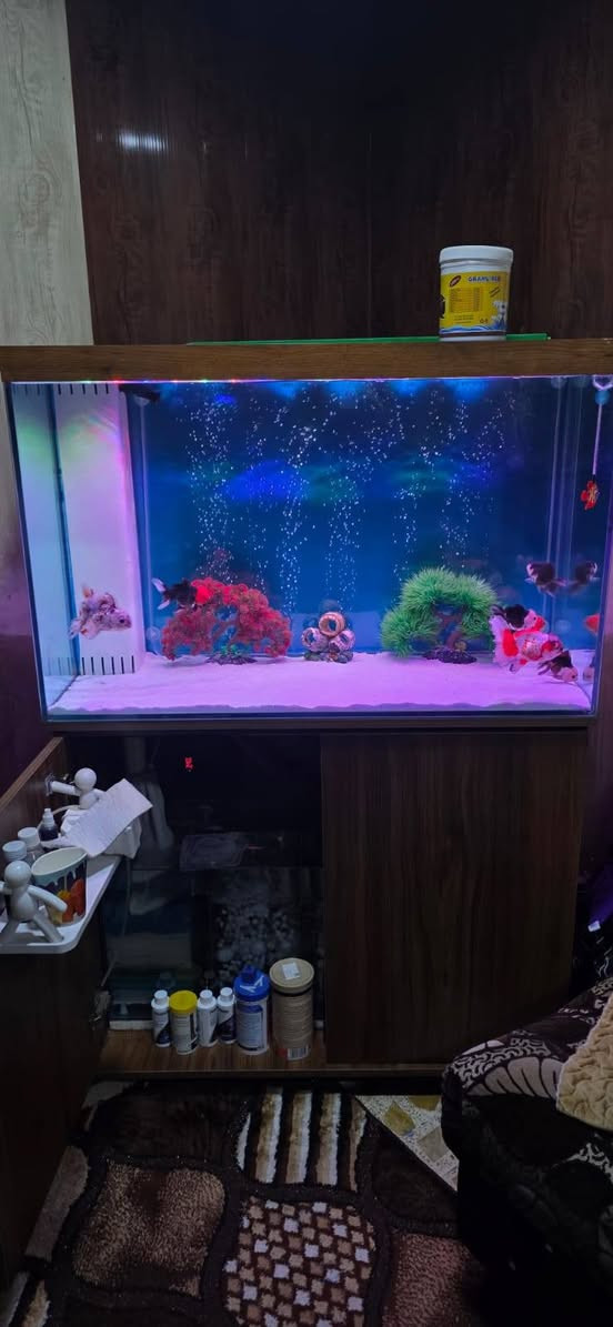 حوض سمك سامب للبيع
قياس متر 
جام10ملم HD
نزال 45
ارتفاع 60مع الميز 
سامب 4مراحل تصفية احترافي.
السعر 500الف وبي مجال للطيبين  
بدون الاسماك واتساب ***********
