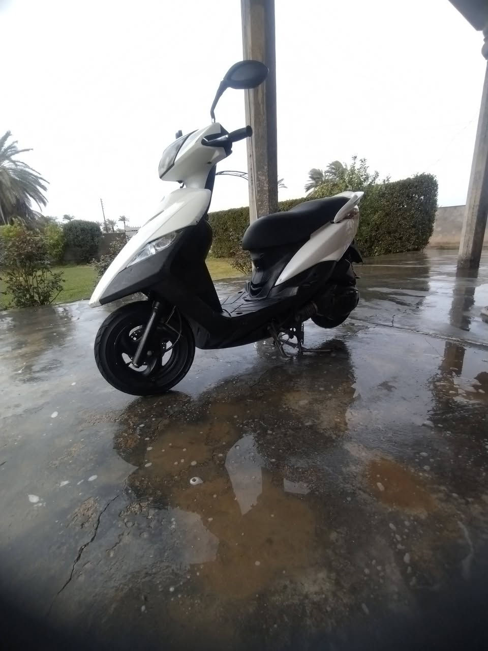 ماكس ثعلب لبيع مكاني أبو غريب
اي نقص مابيه دراجه رقم ***********
