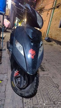 ثعلاب بلاديه لبيع سعر 525وبيه مجال بغداد شارع حيفا 07729319321