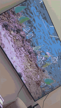 زبائن معرض الباشا  عرض خاص على الشاشة السينمائية حجم 85   بسعر 689 الف...