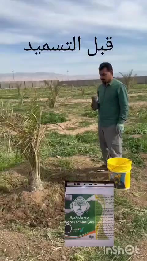 الهندسة المكروبية تفتح افاق صيانة وترميم المنظومة الزراعية من مخلفات الكيميائية و افات العضوية


**إذا كنت صاحب هذا الإعلان وتريد حذفه لأي سبب، رجاءا أرسل رسالة إلى الدعم الفني**